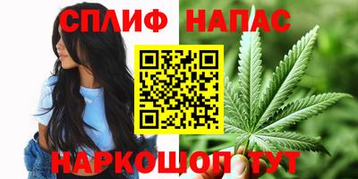 наркотики Ачхой-Мартан