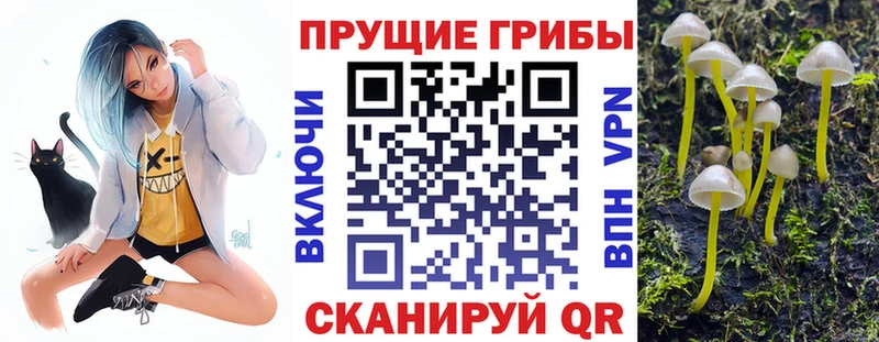 Галлюциногенные грибы MAGIC MUSHROOMS  Владимир 