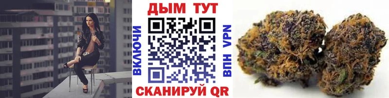 Канабис сатива  Владимир 